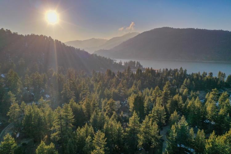 A green pine forest leads to a blue lake. The sun is shining and the skies are clear.