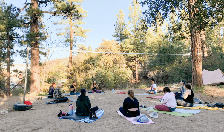 A small group having a yoga circle in the forest mountains, they are sitting on towels in the shade.