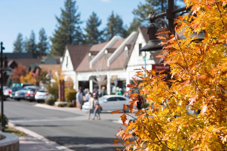 A golden maple tree in the foreground of The Village at Big Bear Lake. The Village businesses are blurred in the background.