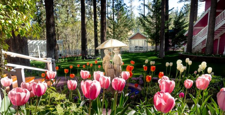 Pink, orange, and white tulips fill the foreground behind a statue of two children. Grass and pine trees fill the background.